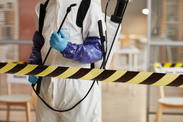 Professional Sewage Cleanup technician working in Olney, IL